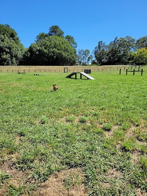 Rifle Range Fenced Agility Dog Park